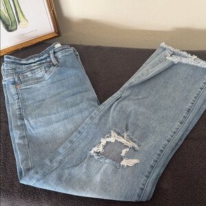 Casual Light Blue Distressed Women's Jeans